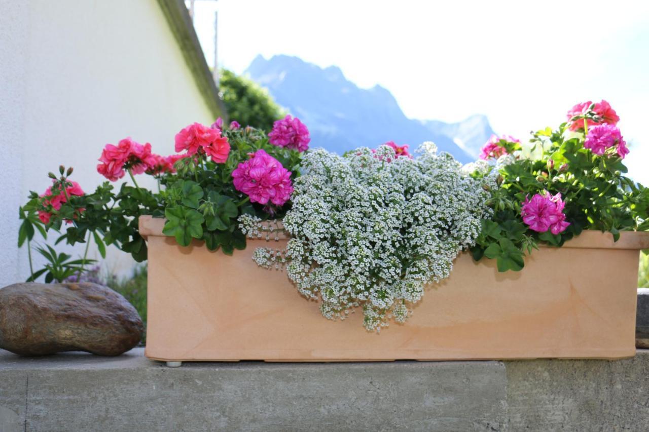 Apart Brigitta Sankt Leonhard im Pitztal Exterior foto